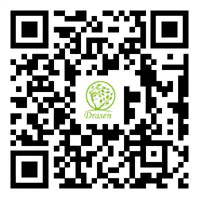 QR kodea QR kodea
